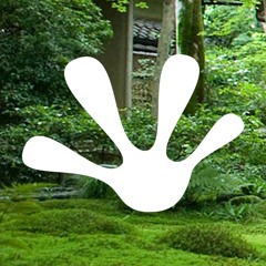 fractalfrog