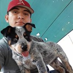Anubis94