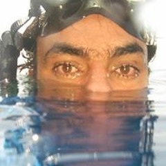 Anis Gammar