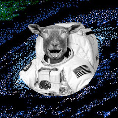 Spacesheep.radio