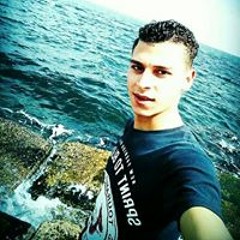 Mohamed Eltalees