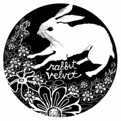 rabbit velvet