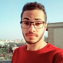 Mohamed Lashin