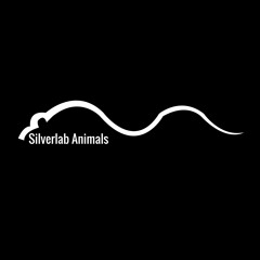 Silverlab Animals