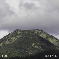 Foot