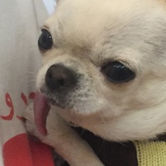 eymeimei