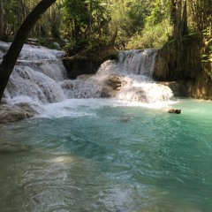 Lam Thanh Phat