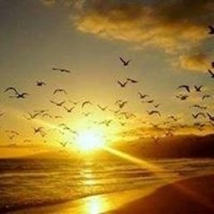 جهاد على عبد الحميد