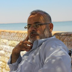 Mahmoud EL sekhily