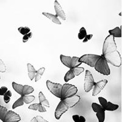 Fatema Murad