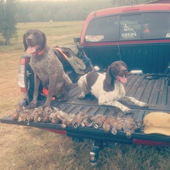 Drake's Gun Dogs