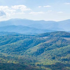 Boston in July (Polly Lal Cover)