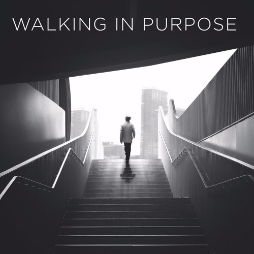 Walking in Purpose’s avatar