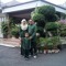 Nizal Nawawi