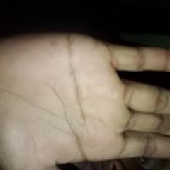 mas jex