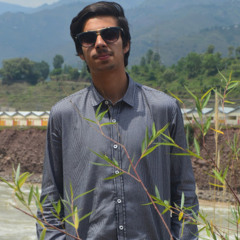 Husnain Waseem