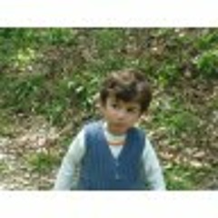 Vahid Taheri