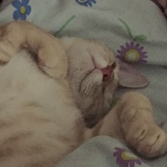 あい