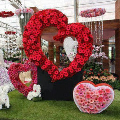 Kulsoom Ahmed
