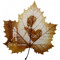 Miss Leaf