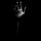 SAGE_NWM