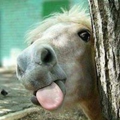 Вячеслав Юрченко