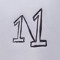 1N1