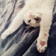 tina_s_trip