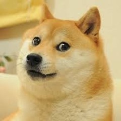 Laranjito Doge