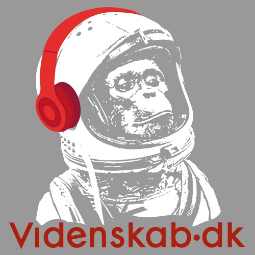 Videnskab.dk’s avatar