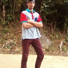 Caulinhos Music [Official]