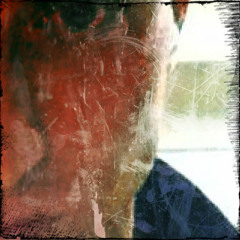 Alexandre (Chrophedra)