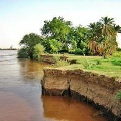محجوب زكريا