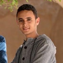 Youssef Wassef Dawood