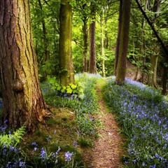 Grad School Survival