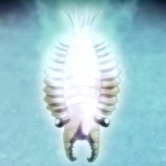 Anomalocaris