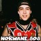 NORWANE 808