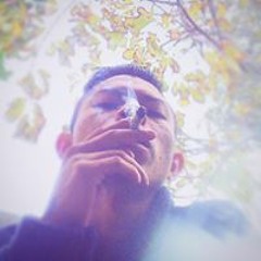 pulga