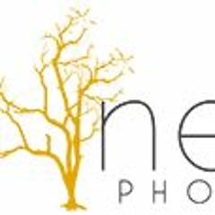 Nemus Photography