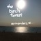 thebirchforest
