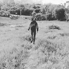 Николай Кириченко