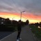 LEEVI