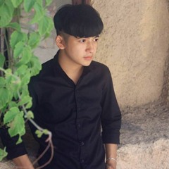 Lê Triệu Vỹ