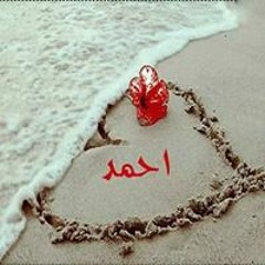 Ahmed M Shawkey