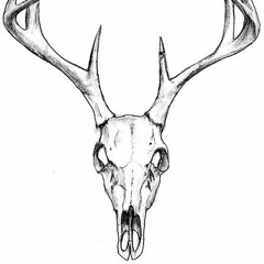 Sayreth