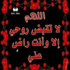 زايد محمد
