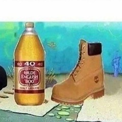 tiny timb jr