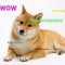 GamingDogeMaster