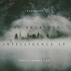 RECKLESS INTELLIGENCE INC.