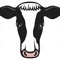 CowKapow